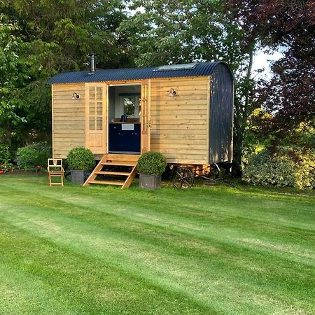 Bannfield Shepherds Hut Ballymoney Εξωτερικό φωτογραφία